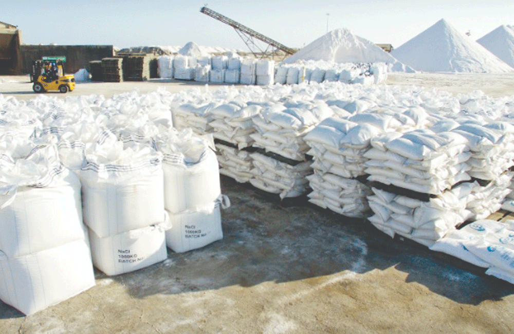 Special cabinet approval granted to Import Salt