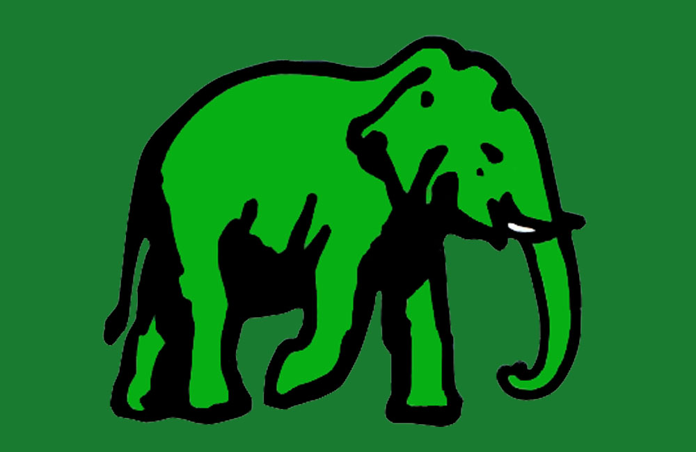 UNP to contest several municipal councils under ‘elephant’ symbol in LG polls